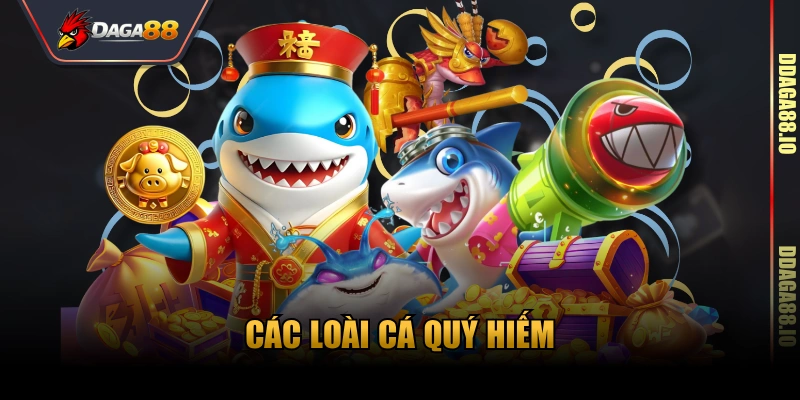 Các loài cá quý hiếm