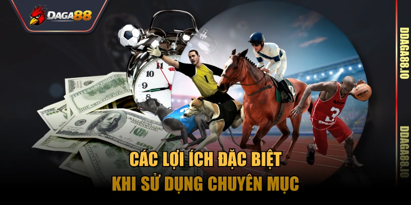 Các lợi ích đặc biệt khi sử dụng chuyên mục