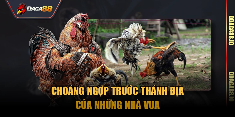 Choáng ngợp trước thánh địa của những nhà vua