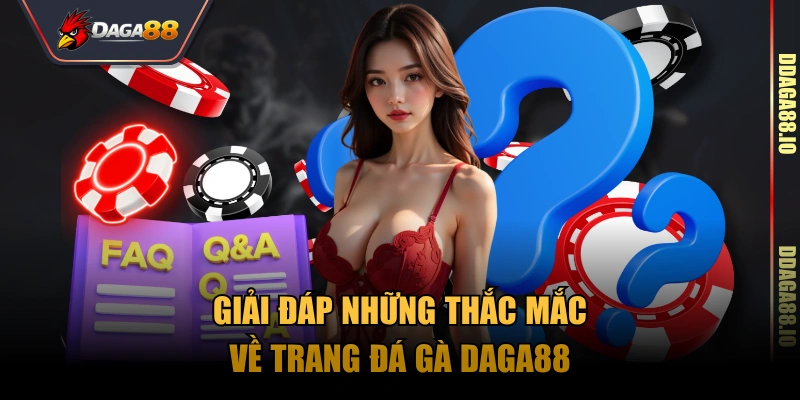 FAQ câu hỏi thường gặp nổi bật nhất