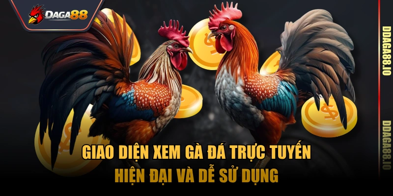 Giao diện xem gà đá trực tuyến hiện đại và dễ sử dụng