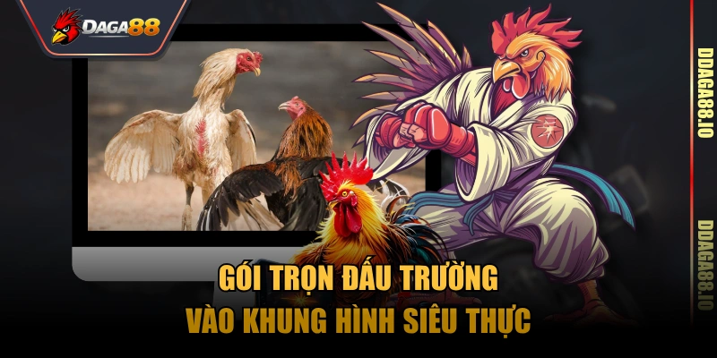 Gói trọn đấu trường vào khung hình siêu thực