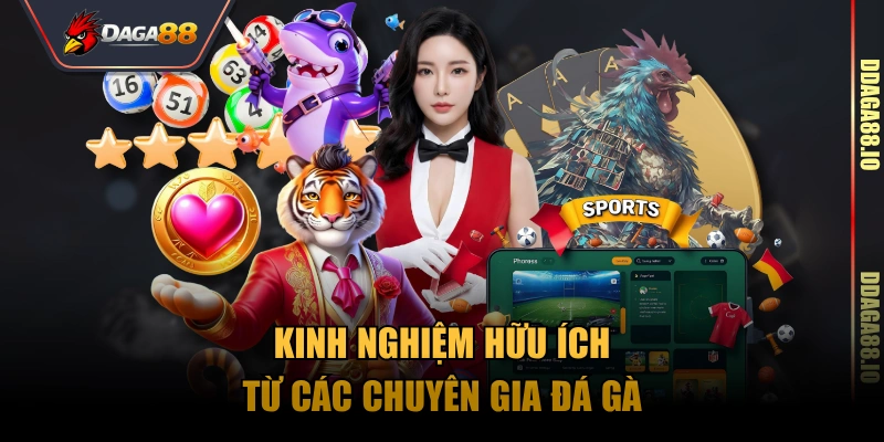 Kinh nghiệm hữu ích từ các chuyên gia