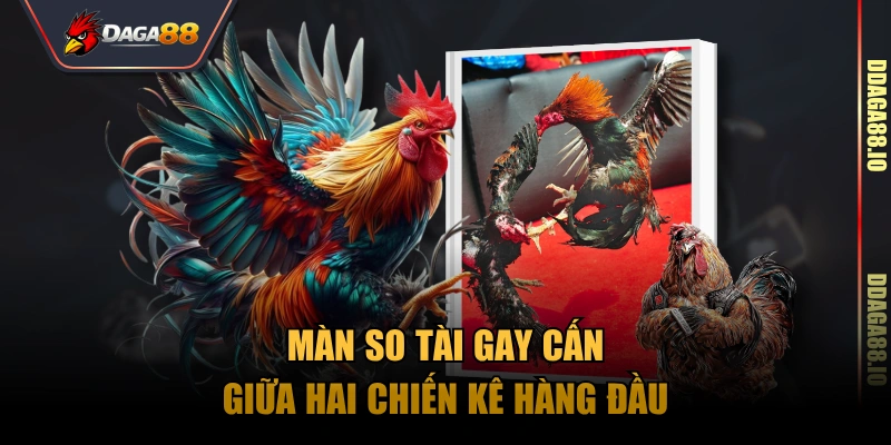 Những màn so tài gay cấn