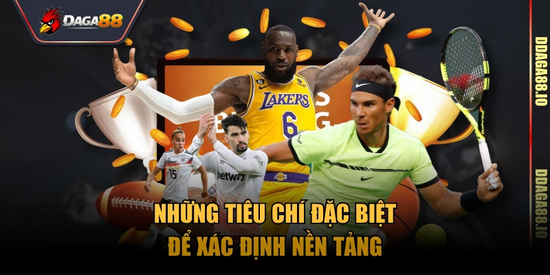 Những tiêu chí đặc biệt để xác định nền tảng