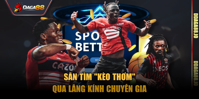 Săn tìm "kèo thơm" qua lăng kính chuyên gia