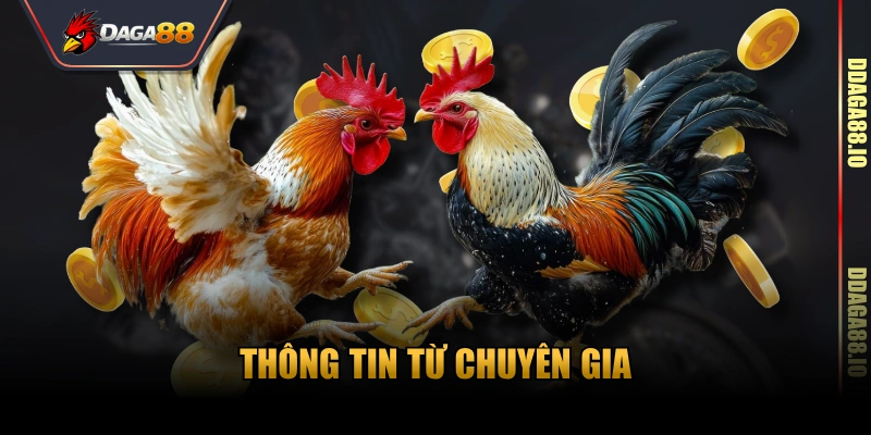 Thông tin từ chuyên gia