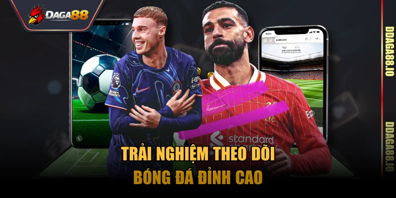 Trải nghiệm chuyên nghiệp và hiện đại ở SABA