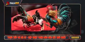 truc tiep da ga 67 cap nhat tran dau sac net moi nhat