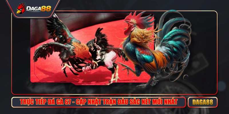 truc tiep da ga 67 cap nhat tran dau sac net moi nhat