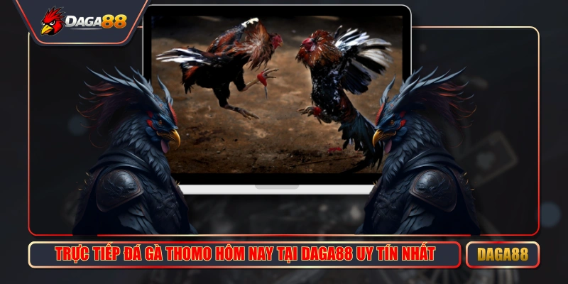 truc tiep da ga thomo hom nay tai daga88 uy tin nhat